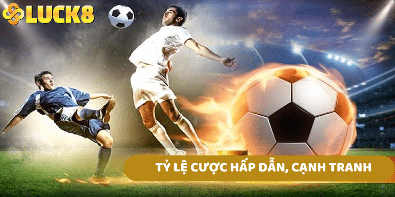 Tỷ Lệ Cược Hấp Dẫn, Cạnh Tranh